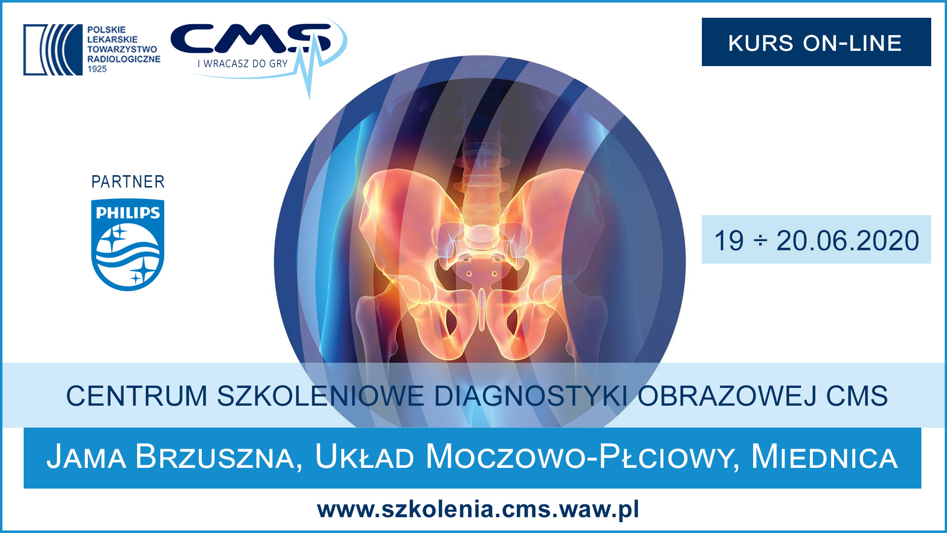 Kurs: Jama brzuszna, układ moczowo-płciowy, miednica